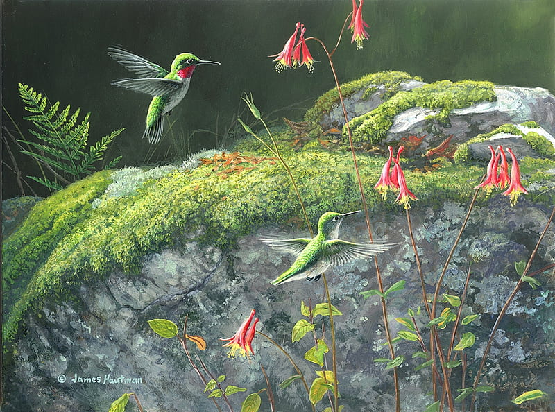 Ruby-Throated Hummingbirds, red, art, luminos, james hautman, pasare, ruby-throated, hummingbird, green, summer, flower, painting, colibri, pictura, HD wallpaper