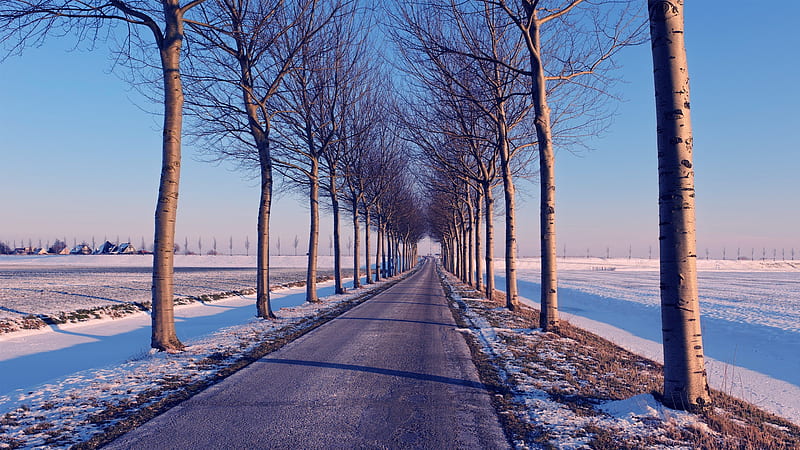 Image Tress Way image beautiful image beautiful image beautiful - Beautiful wintery lined road, tress, road, winter, town, HD ...