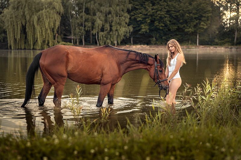 Cowgirl Cooling Off with her Horse, pond, trees, horse, cowgirl, HD wallpaper