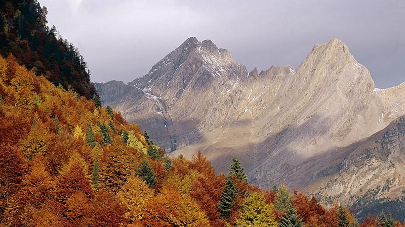 the pyrenees mountains in spain, forest, autumn, stark, mountains, HD wallpaper