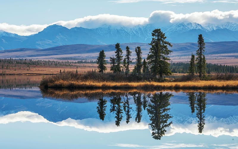 Spruce standing tall on the tundra of Alaska, river, landscape, trees, water, mountains, usa, reflections, HD wallpaper