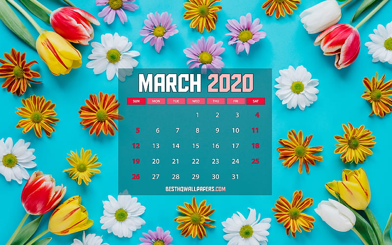 March 2020 Calendar, spring flowers, 2020 calendar paper card, spring calendars, March 2020, creative, blue backgrounds, March 2020 calendar with flowers, Calendar March 2020, artwork, 2020 calendars, HD wallpaper