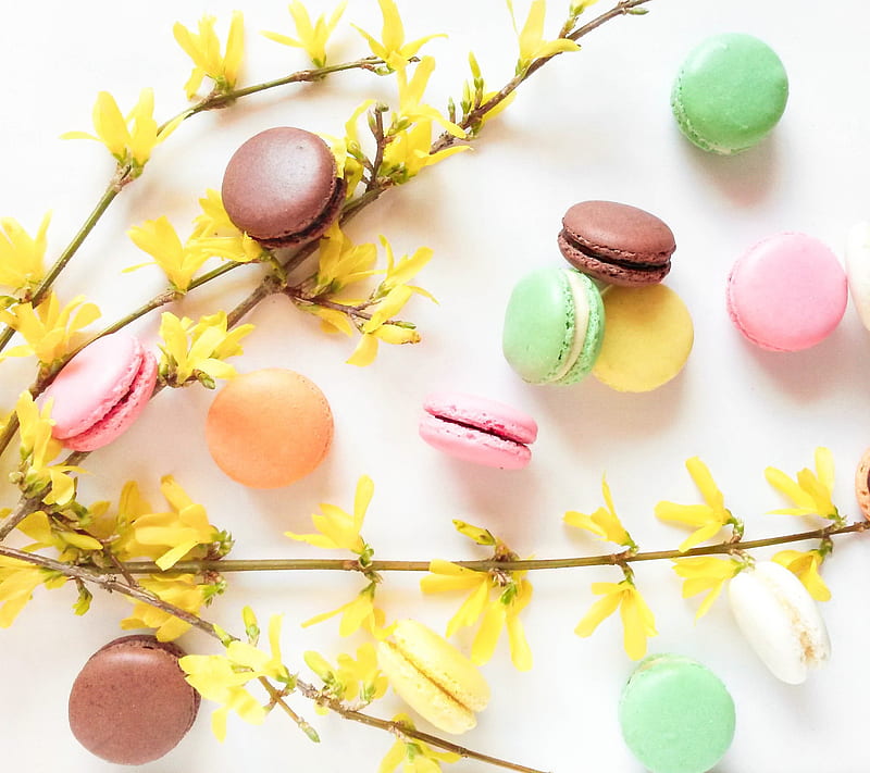 colorful macarons, floral, flowers, forsythia, french, macaroons, HD wallpaper