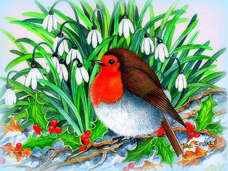 ★Christmas Robin★, snow drops, seasons, xmas and new year, greetings, frosty, leaves, paintings, flowers, lovely flowers, drawings, traditional art, holiday, christmas, christmas robin, love four seasons, birds, festivals, winter, snow, berries, winter holidays, celebrations, HD wallpaper