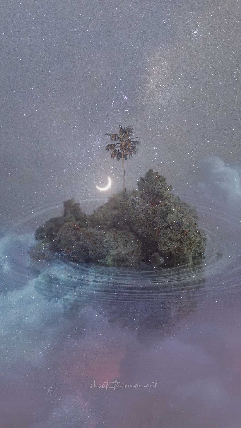 420, cannabis, dreamy, ethereal, island, magical, moon, palmtree, starry,  surreal, HD phone wallpaper | Peakpx