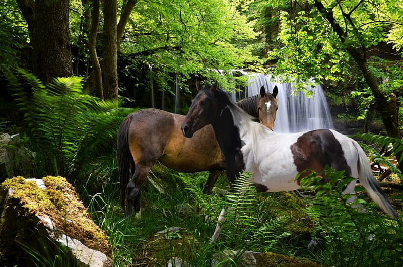 *Beauties in the forest*, forest, woods, hq, trees, waterfalls, horses, green, two, landscapes, plants, nature, animals, HD wallpaper