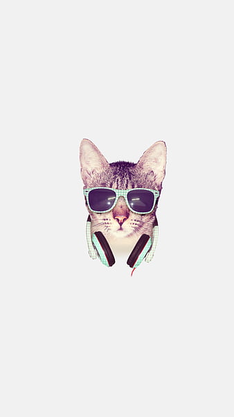 Download Cat Logo Default Pfp Wallpaper