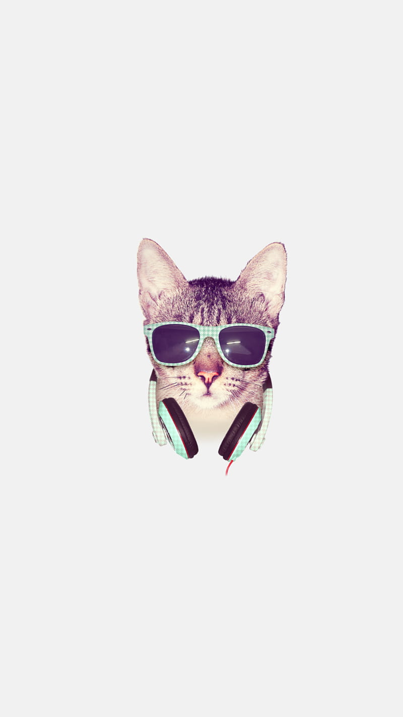 Cat, logo, HD phone wallpaper