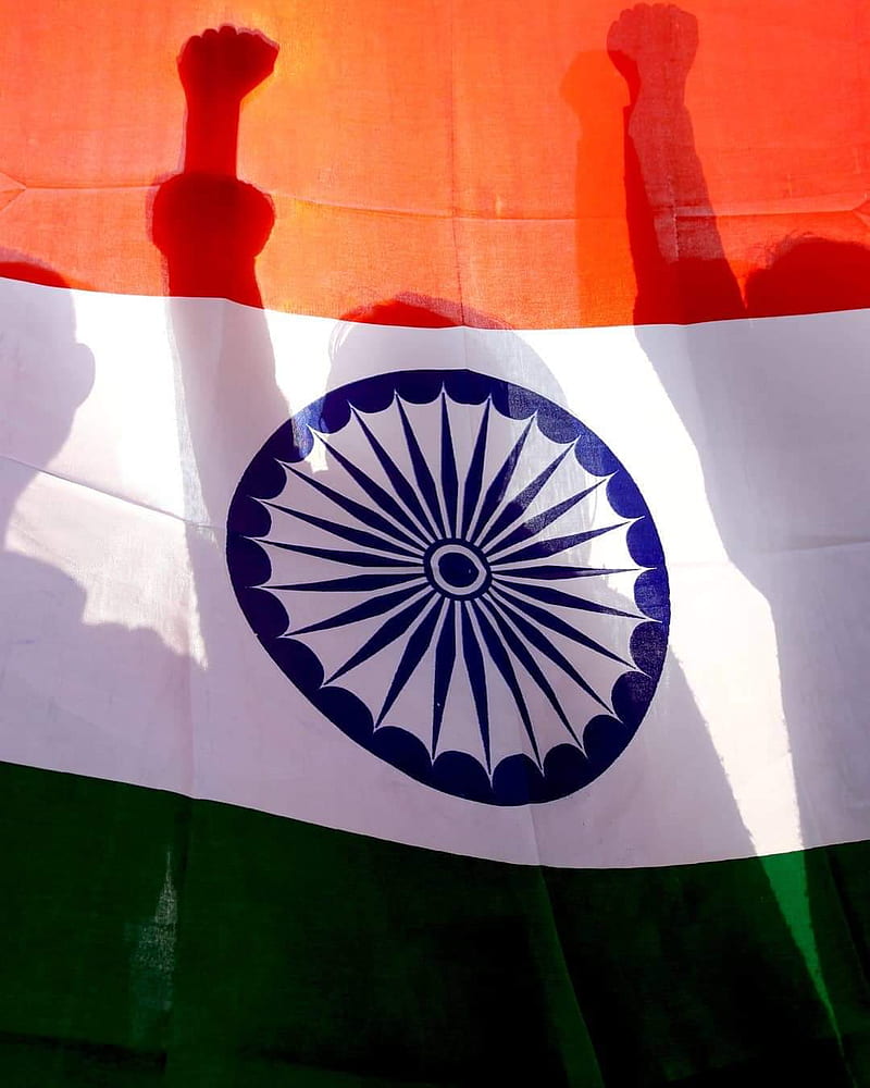 Indian Flag, india, love, HD phone wallpaper | Peakpx