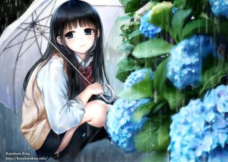 Rainy Day, pretty, wet, umbrella, adorable, sweet, blossom, nice, anime, raining, anime girl, long hair, black hair, female, lovely, rainy, flora, cute, kawaii, water, girl, flower, rain, HD wallpaper