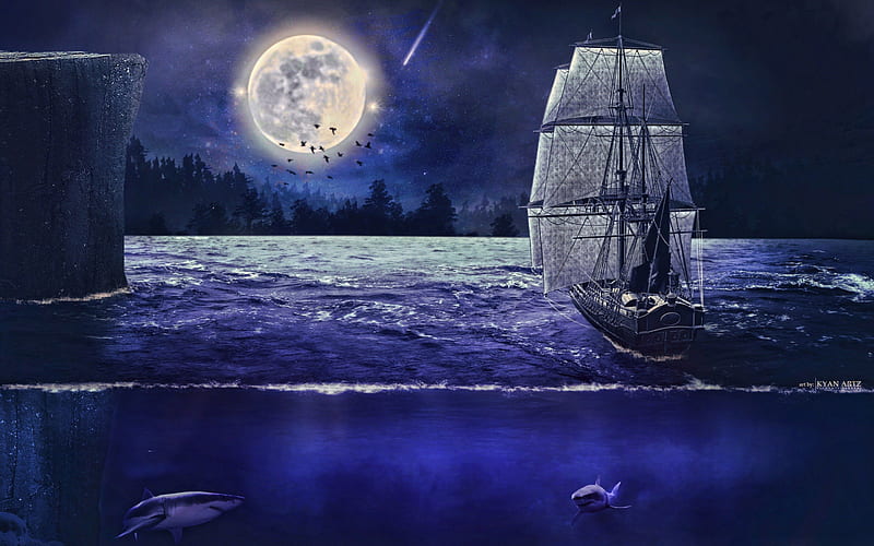Full Moon, oceans, bonito, clouds, sea, fantasy, boats, moon, animals, blue, birds, abstract, water, ship, nights, sharks, nature, HD wallpaper