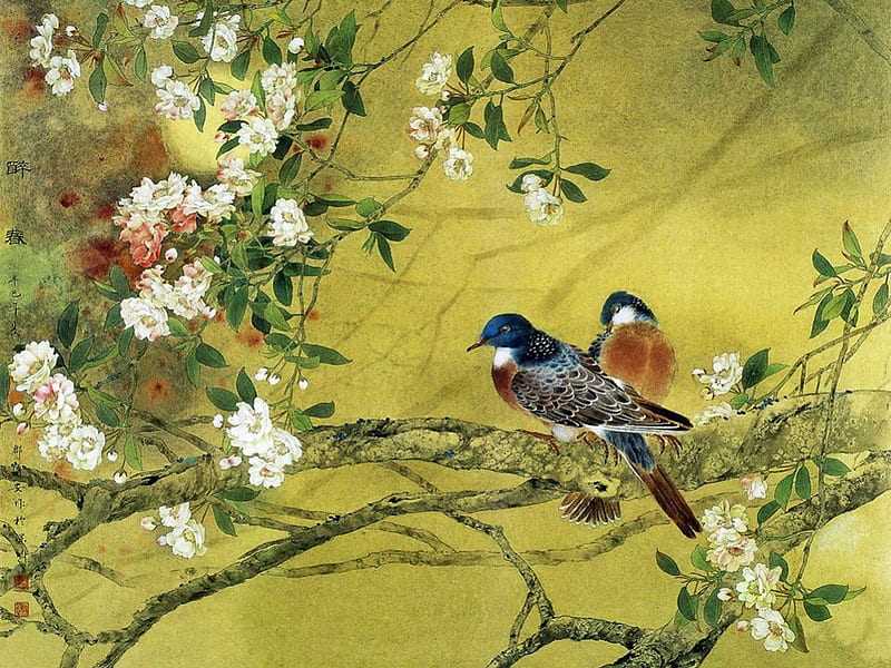 Birds and Chinese Plum, birds, art, plum tree, chinese, HD wallpaper