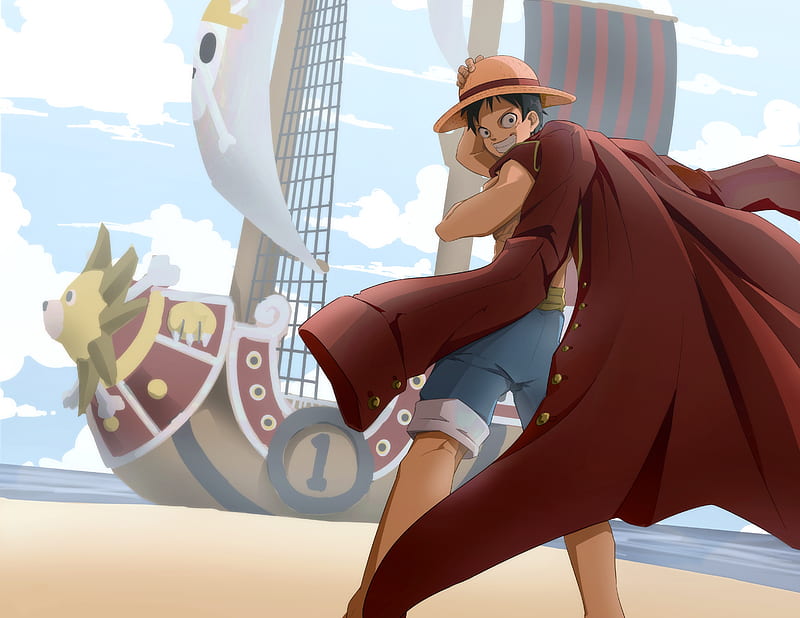 Monkey D. Luffy Roronoa Zoro Thousand Sunny 4K HD One Piece Wallpapers, HD  Wallpapers