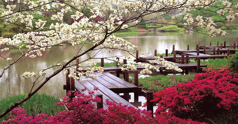 Japanese Garden, zen, grass, bonito, spring, trees, pond, lagoon, blossom, flowers, garden, wooden walkway, HD wallpaper