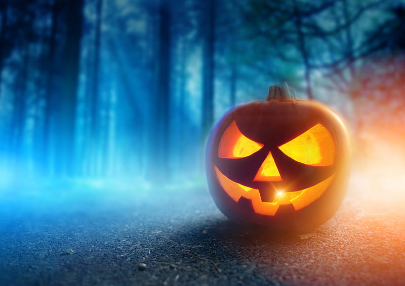 Helloween, halloween, pumpkins, halloween pumkin, skull, pumpkin, witch, scary, halloween pumpkins, halloween , halloween favorites, HD wallpaper