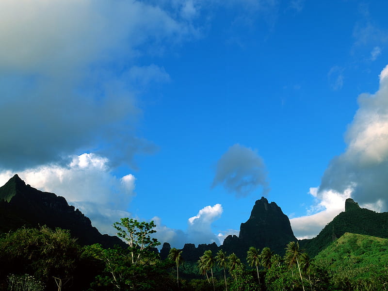 Tahiti mountain, HD wallpaper