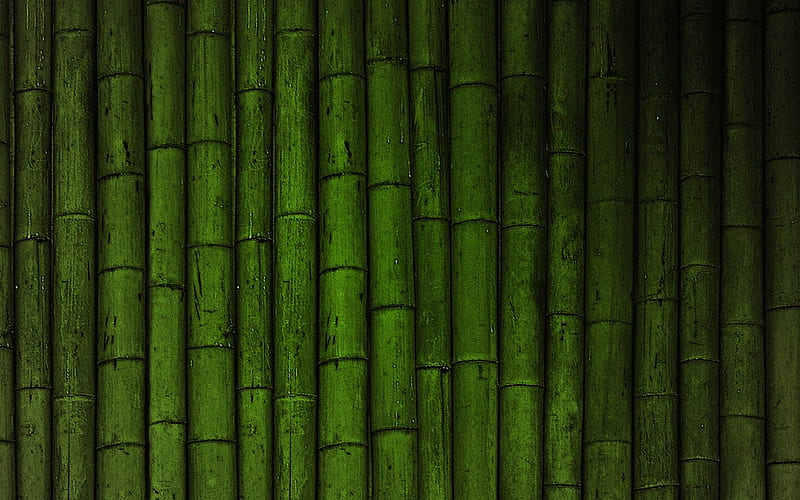 green bamboo background, macro, green bamboo texture, bamboo textures, bamboo canes, bamboo, green wooden background, HD wallpaper