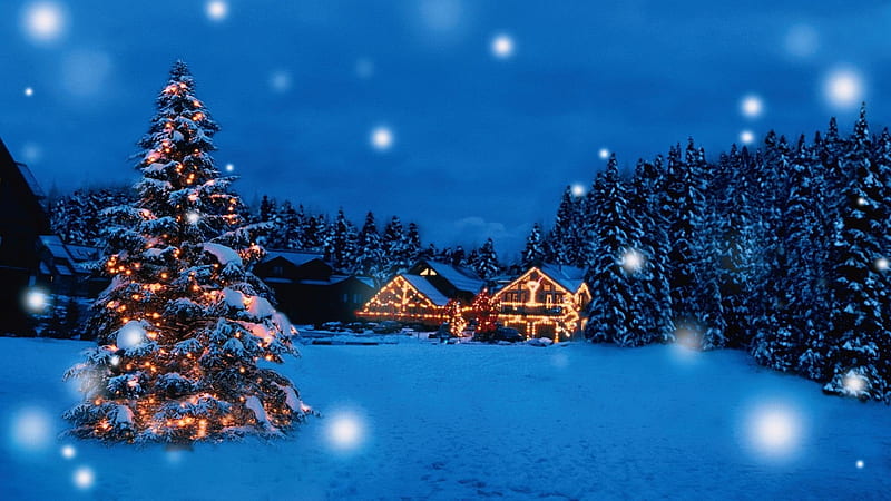 Beautiful%20Christmas,%20lights,%20night,%20forest,%20ornaments,%20tree,%20snow,%20houses,%20%20HD%20wallpaper%20|%20Peakpx