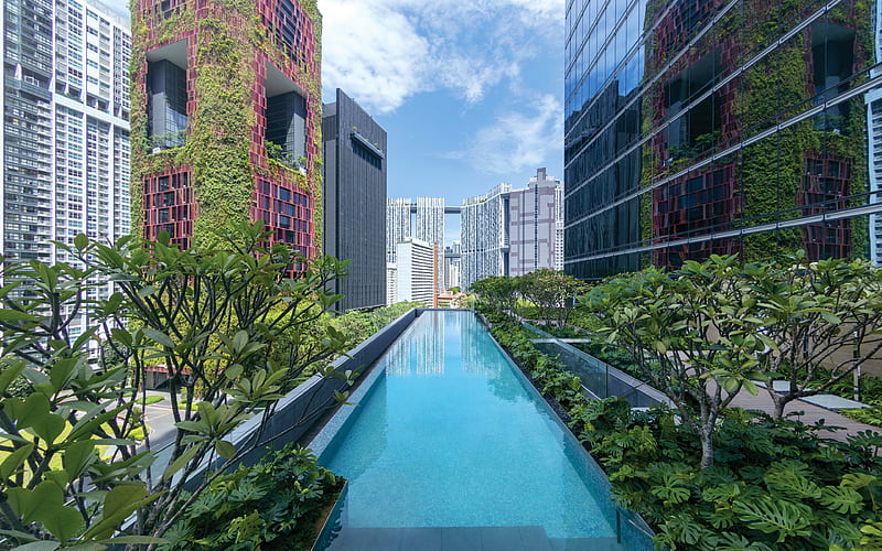 Sofitel Singapore City Centre pool, CBD, Singapore, Asia, HD wallpaper