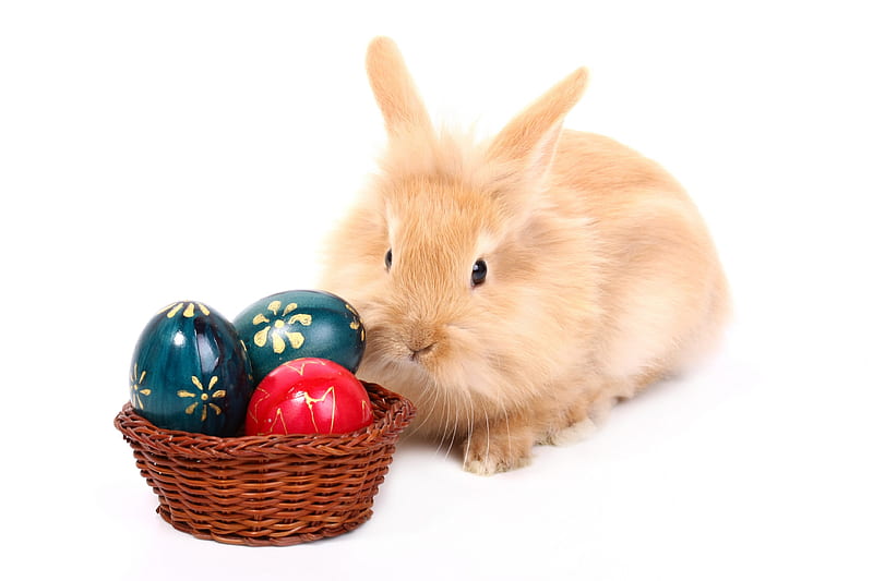 Pretty Bunny , Easter, holidays, basket, eggs, colors, bunny, greetings, HD wallpaper
