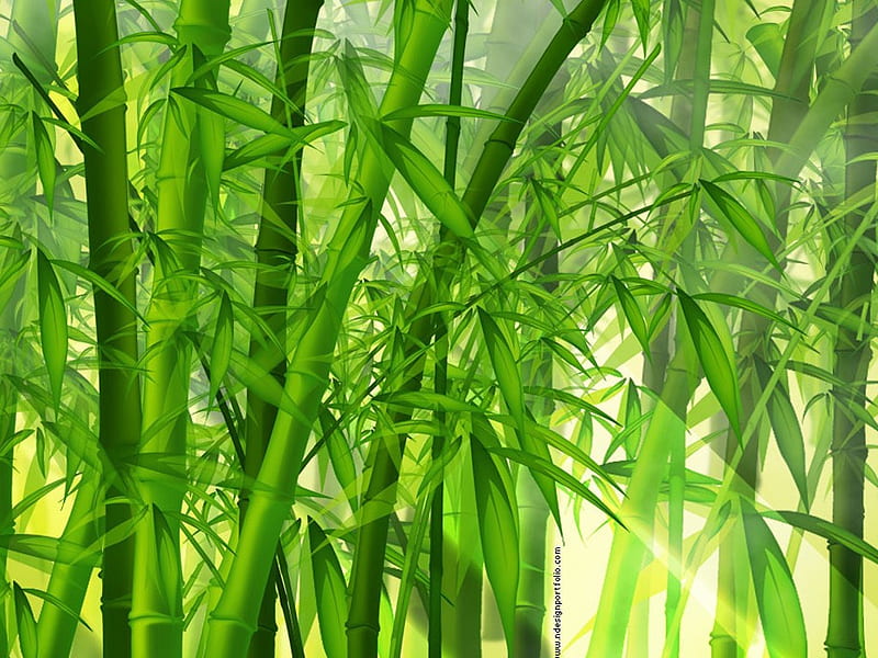 Japanese Bamboo Forest, forest, leaves, green, stalks, bamboo, HD wallpaper