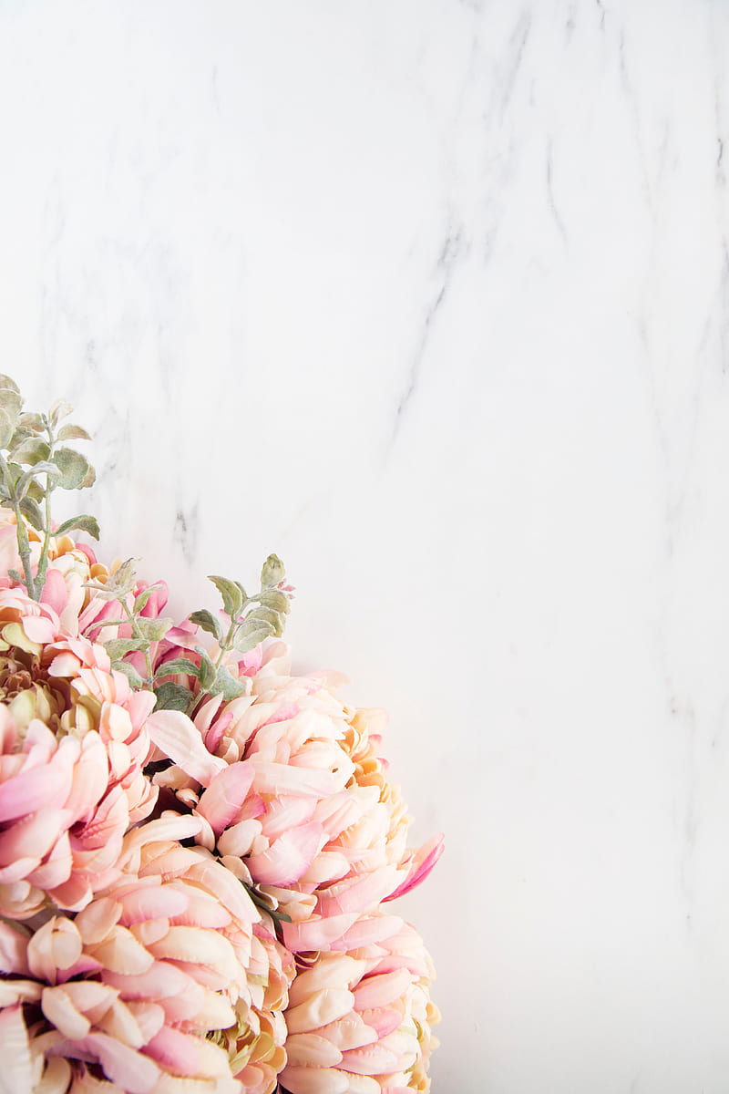 flowers, petals, bouquet, light, aesthetics, HD phone wallpaper