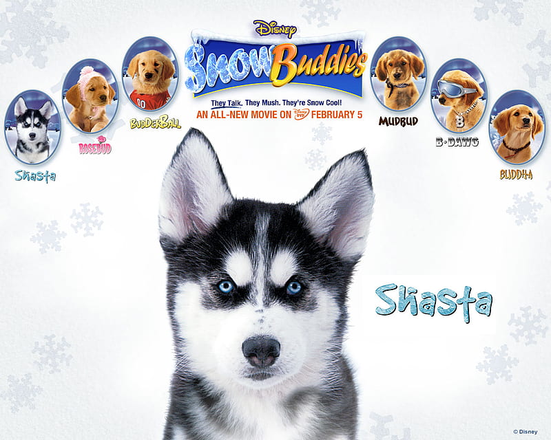 what are the names of the dogs in snow dogs