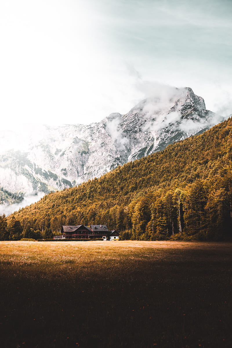 Black wooden house beside trees, HD phone wallpaper | Peakpx