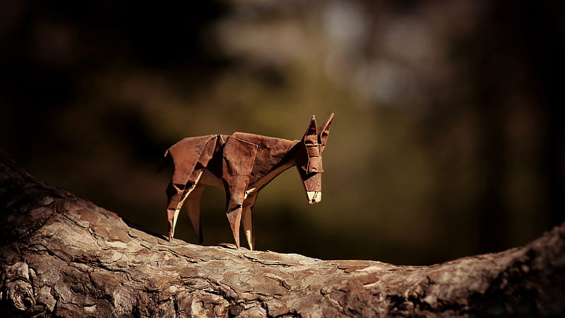Donkey Origami, origami, donkey, creative, HD wallpaper