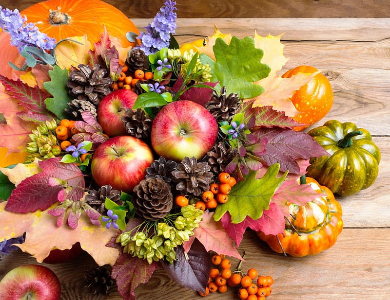 Autumn decoration, flower, pumpkin, deco, autumn, fryit, leaf, toamna, colorful, fruit, apple, HD wallpaper