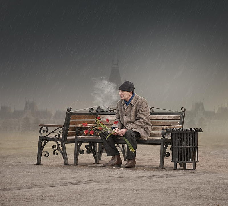 I love you same much as in the first day when i meet you, bench, graphy, old man, HD wallpaper