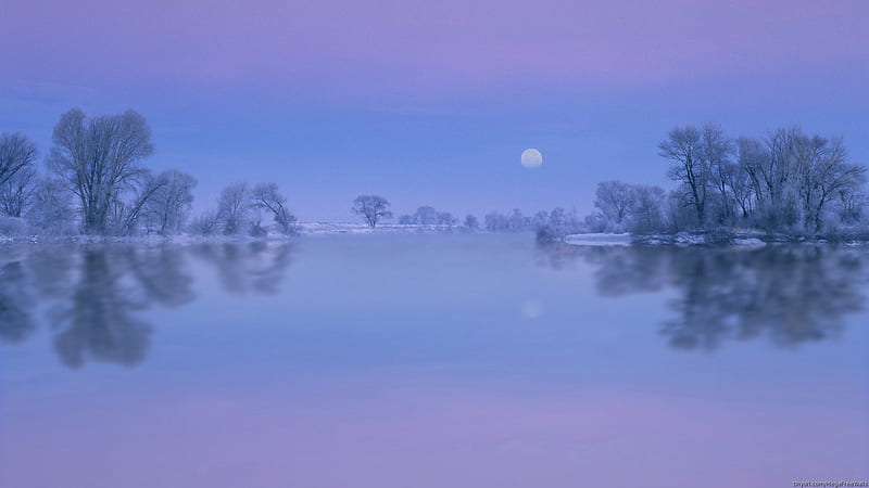 mystic lake, moon, reflection, trees, lake, winter, HD wallpaper