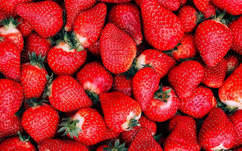 strawberries, berries background, strawberry background, strawberry texture, healthy berries, fruits, HD wallpaper