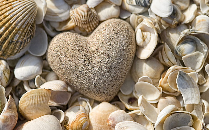 stone heart, coast, beach, seashells, love concepts, sea, HD wallpaper