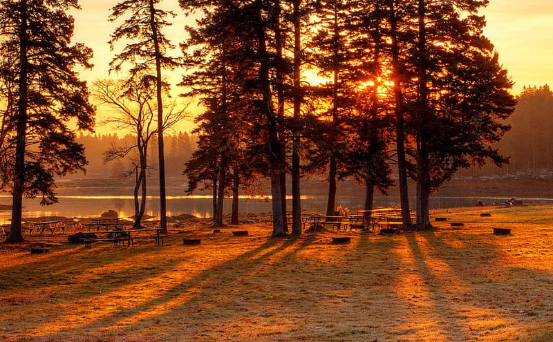 Late Autumn Sunrise, autumn, national parks, nature, sunrise, trees, sky, HD wallpaper
