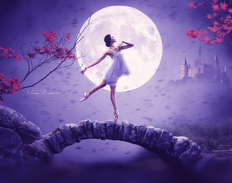 Women, Artistic, Ballerina, Castle, Full Moon, Moon, HD wallpaper