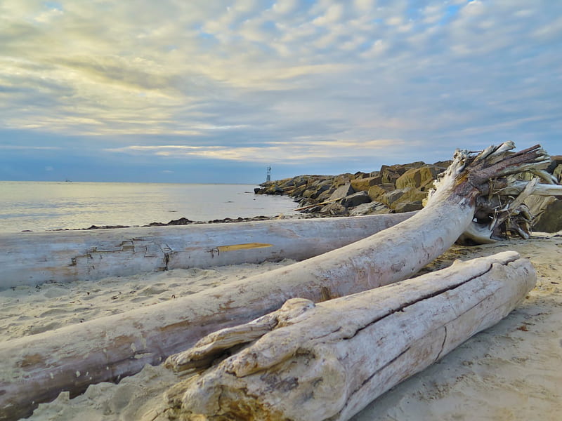 Beach and driftwood, montauk, driftwood, beach, R, new york, HD wallpaper