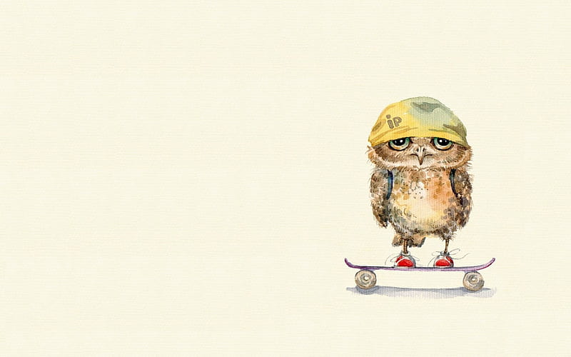 Owl On Skateboard, skateboard, owl, artist, funny, HD wallpaper