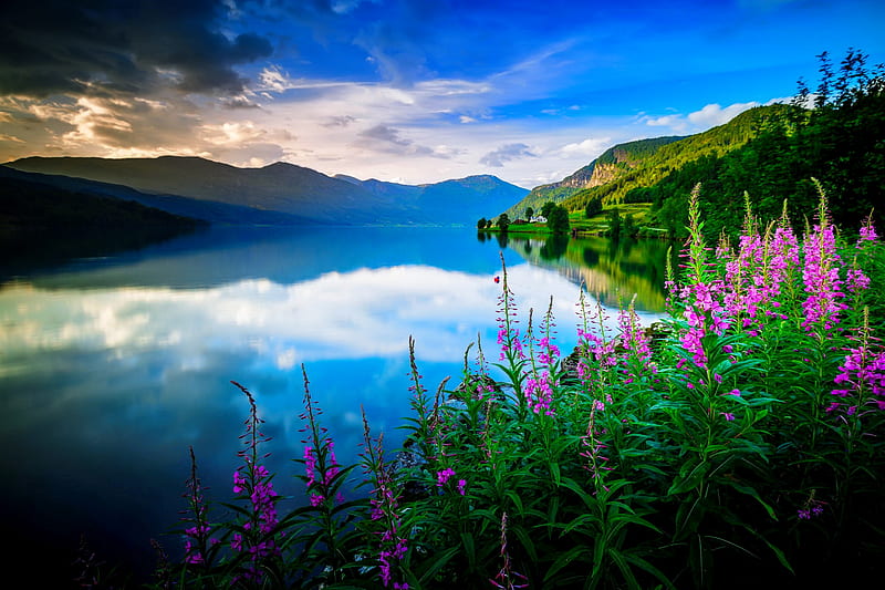 Lake serenity, shore, dusk, bonito, sky, clouds, lake, mist, afternoon ...