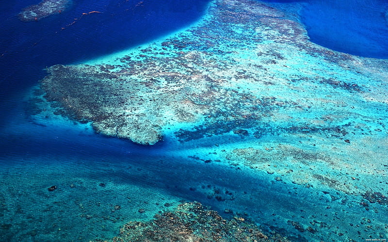 Tahiti coral reefs, HD wallpaper