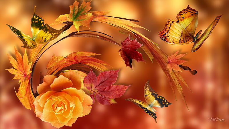 Autumn Golds, fall, autumn, orange, colors, firefox persona, butterflies, seasons, leaves, gold, swril, HD wallpaper