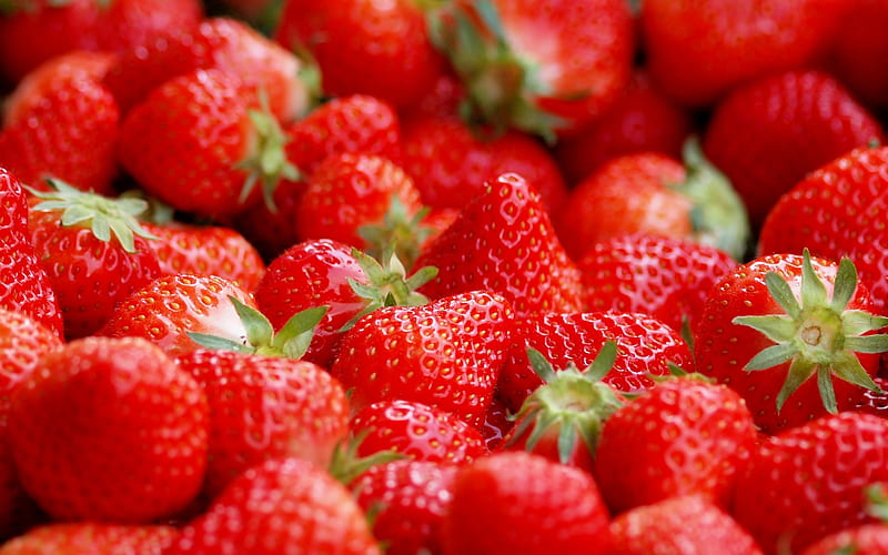 strawberry, fruit, berries, harvest, vitamins, red strawberries, HD wallpaper