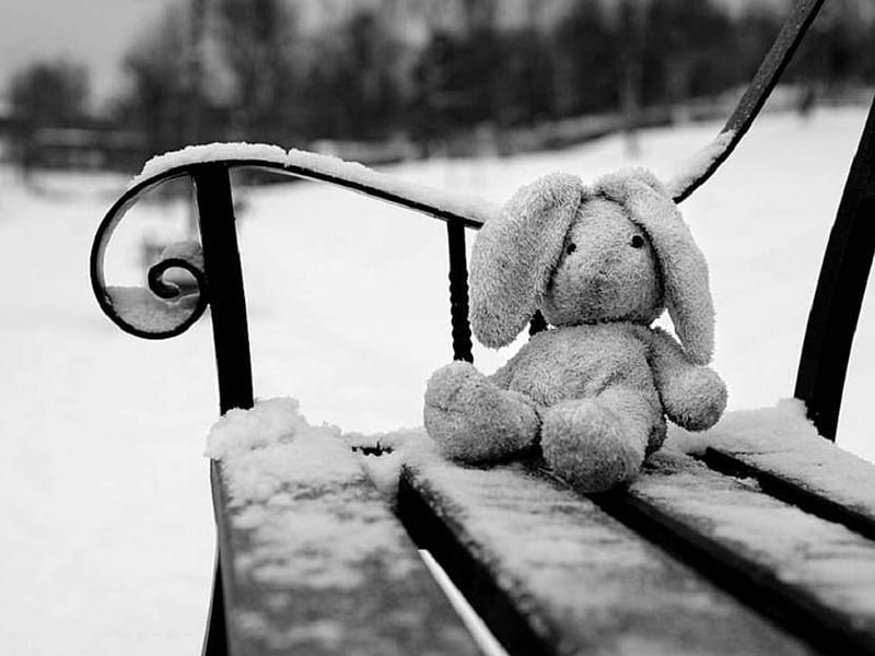 FORGET, graphy, bw, snow, bench, toys, snuggle bunny, winter, HD wallpaper