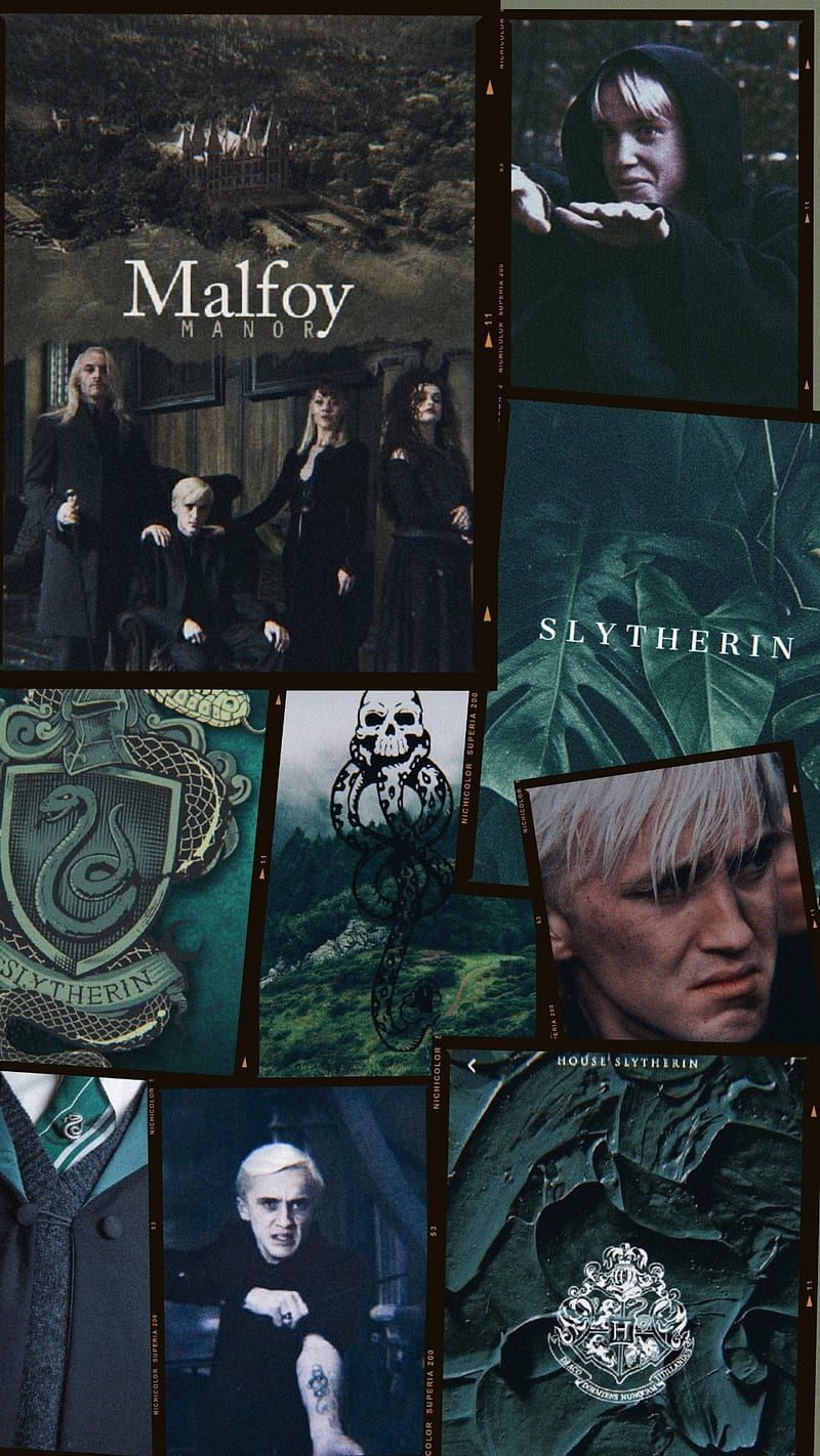 Harry Potter - Draco Malfoy Wall Mural