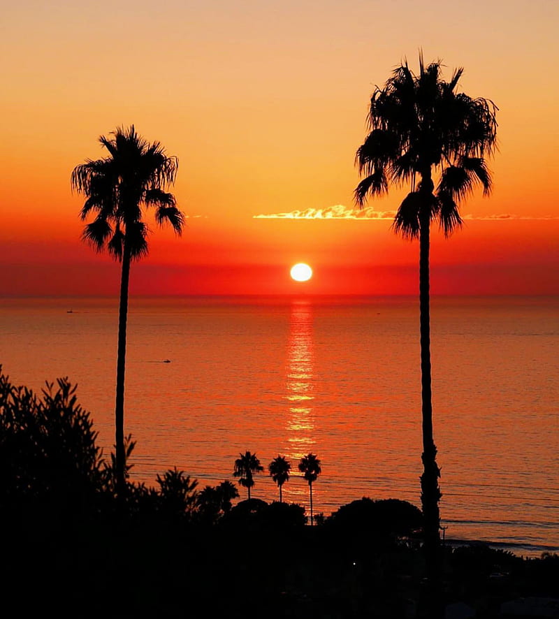 Magical sunset, beach, exotic, land, ocean, palm trees, palms, shine, sun, vacation, HD phone wallpaper