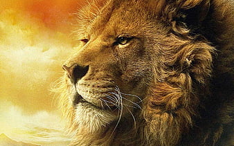 King Aslan, lion, narnia, HD phone wallpaper