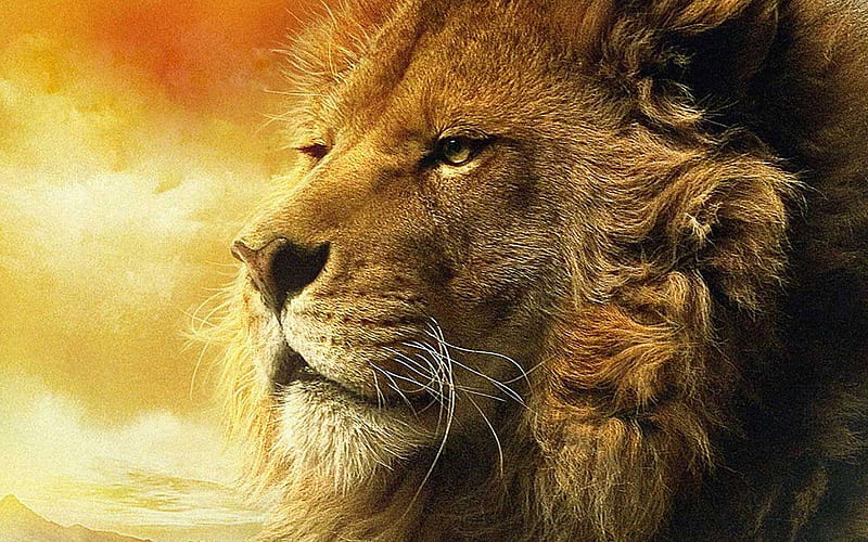 Lion, fantasy, leu, aslan, narnia, HD wallpaper