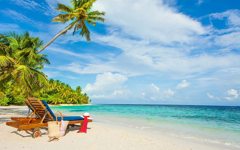 beach, sea, blue lagoon, palm trees, tropical island, summer travels, HD wallpaper