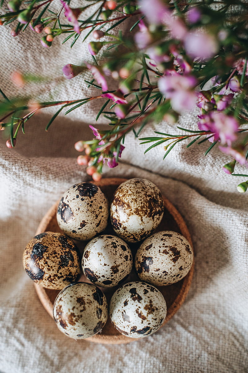 White and Brown Egg on Brown Nest, HD phone wallpaper