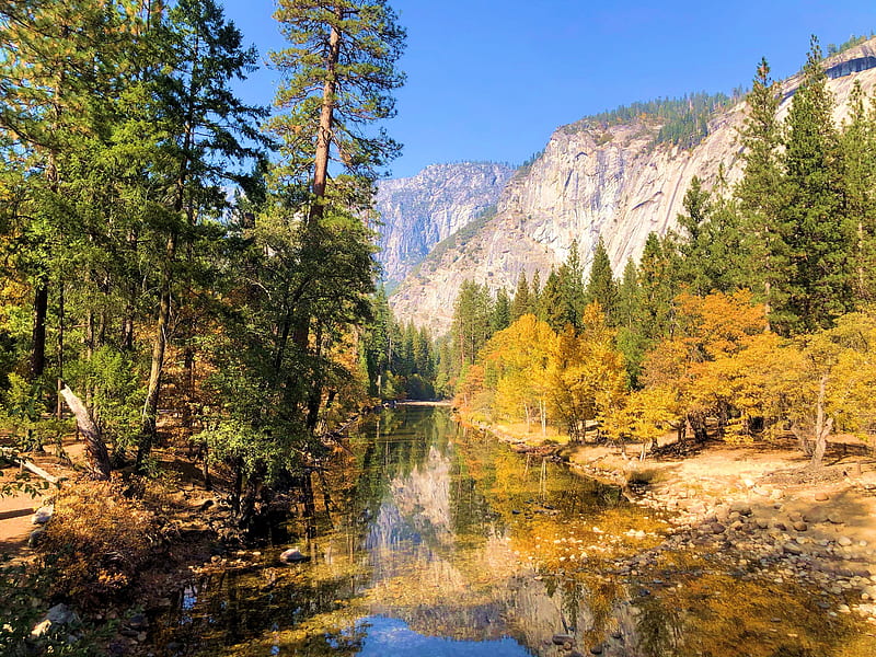 Autumn afternoon in Yosemite Valley, trees, usa, california, fall, colors, river, HD wallpaper